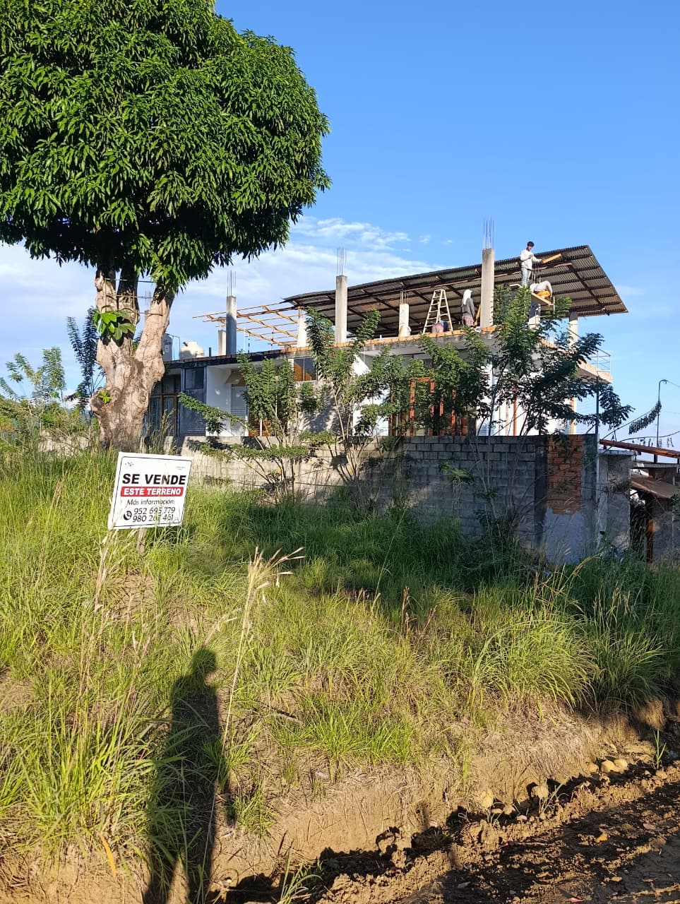 Terrenos en Venta – Tarapoto 🌿🏡