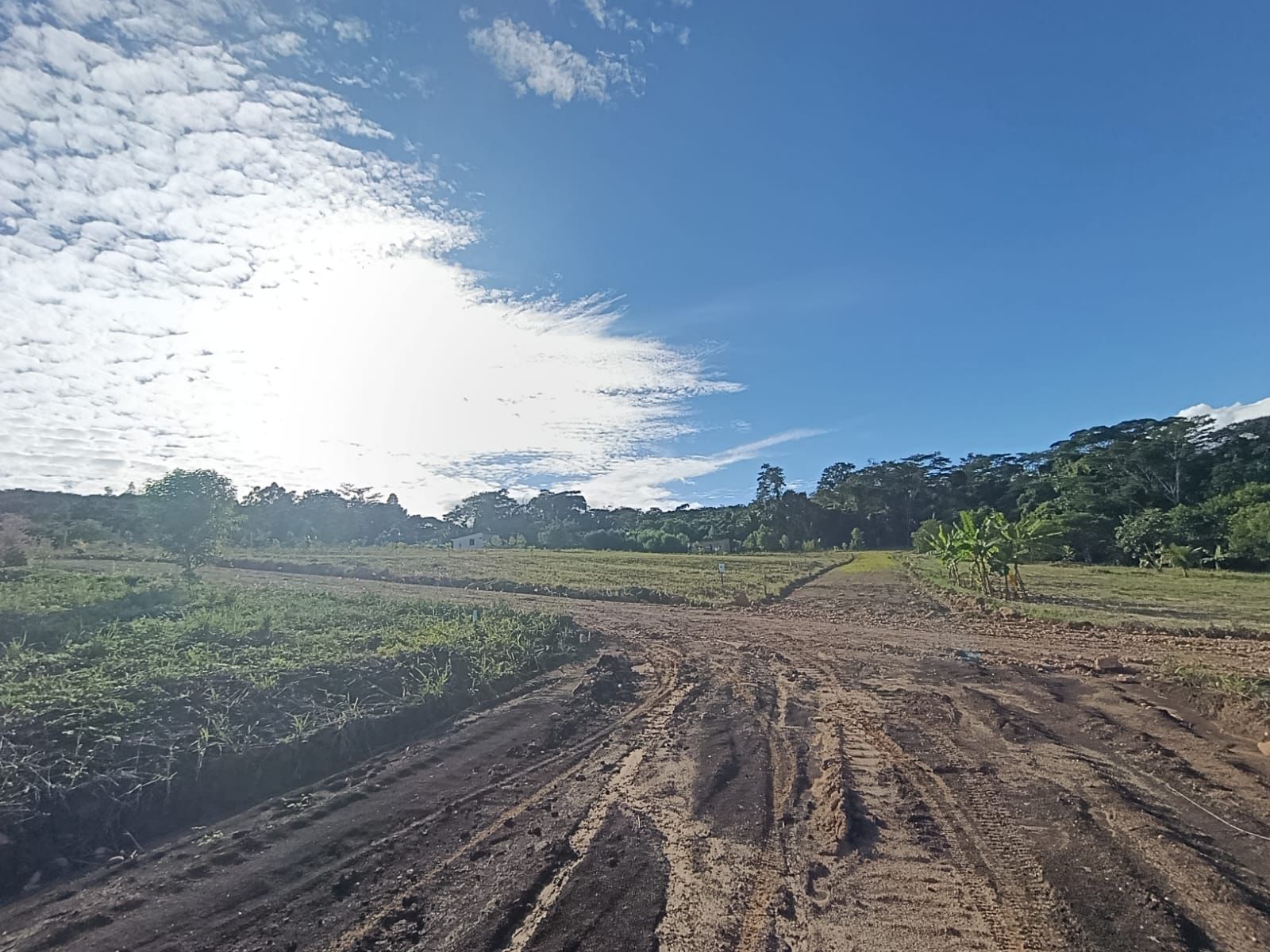 Esta es tu oportunidad de invertir en Brisas del Valle🌴